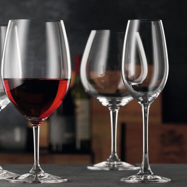 Nachtmann ViVino Champagne Glass Set of 4 Nachtmann ViVino Champagne Glass Set of 4
